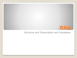 RNA - Mr. Dudley's Website