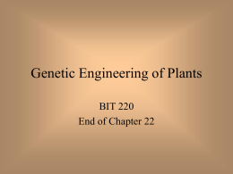 Genetic Engineering of Plants - MCCC Faculty & Staff Web Pages