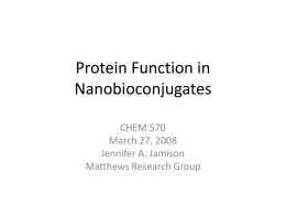Protein Function in Nanobioconjugates