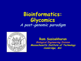 Bioinformatics in Glycobiology