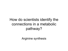 Assessment scenario for metabolic pathway