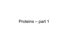 Proteins – part 1
