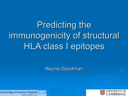 Identification of acceptable HLA mismatches for highly