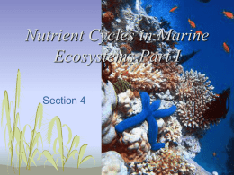 Nutrient Cycles in Marine Ecosystems Part I