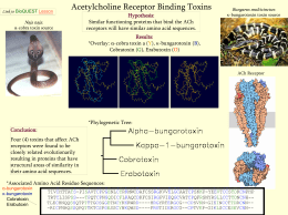 Acetylcholine Receptor Binding Toxins