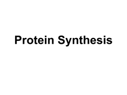 Protein Synthesis- Powerpoint