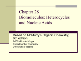 Chapter 28. Heterocycles and Nucleic Acids