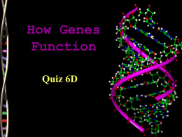 How Genes Function