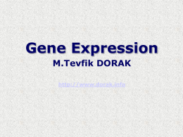 Gene Expression [M.Tevfik DORAK]