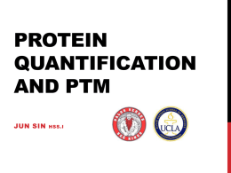 Protein quantification