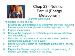 Chap 23 –Nutrition, Part III