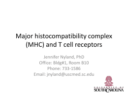 Major histocompatability complex (MHC) and T cell receptors