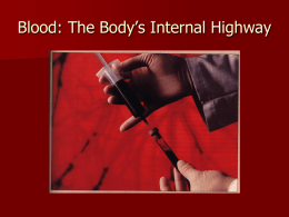 Blood: The Body’s Internal Highway
