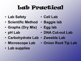 Lab Practical