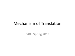 Mechanism of Translation