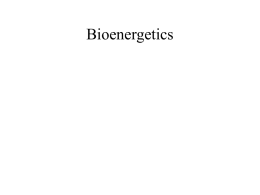 Bioenergetics - people.emich.edu