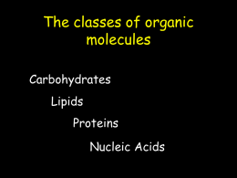 Elements of Biology 101