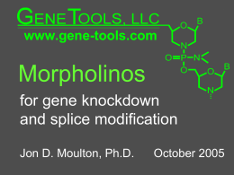 Morpholinos - Gene Tools