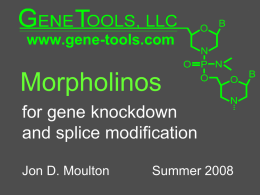 Morpholinos - Gene Tools