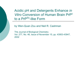 Acidic pH and Detergents Enhance in Vitro Conversion of