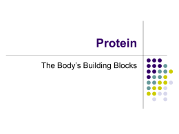 Protein - PBworks