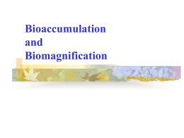 Bioaccumulation and Biomagnification