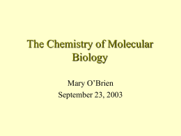 The Chemistry of Molecular Biology