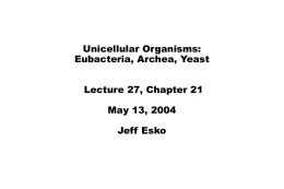 Essentials of Glycobiology Lecture 31 May 23, 2000 Jeff Esko