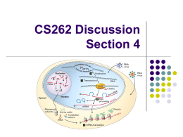 CS262 Discussion Section 4