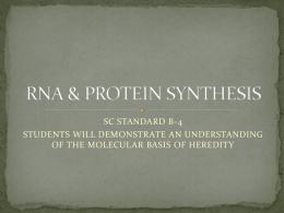 RNA & PROTEIN SYNTHESIS - Anderson School District One
