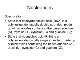 Nucleotides - Mrs Miller's Blog | Science Revision