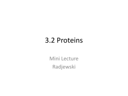 3.2 Proteins - Biology with Radjewski