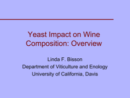Yeast Impact on Wine Composition: Overview