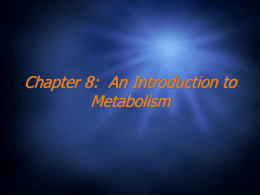 Chapter 8: An Introduction to Metabolism