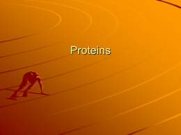 Proteins 1 - Dr Rob's A