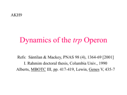Dynamics of the trp Operon