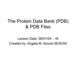 The Protein Data Bank (PDB) & PDB Files