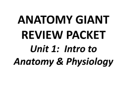 ANATOMY GIANT REVIEW PACKET Unit 1: Intro to Anatomy