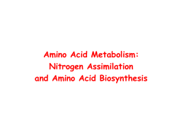 Amino Asit Metabolizması - mustafaaltinisik.org.uk