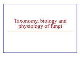 Taxonomy, biology and physiology of fungi