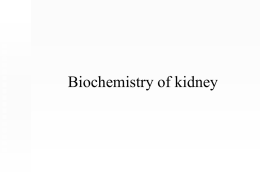 Biochemistry of kidney - Univerzita Karlova v Praze