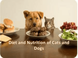 Diet and Nutrition of Cats and Dogs