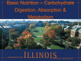 Carbohydrates - Absorption and Metabolism