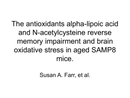 The antioxidants alpha-lipoic acid and N