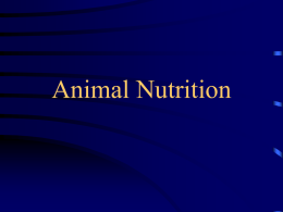 Animal Nutrition - White River High School