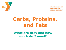 Carbs, Proteins, and Fats
