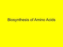 Biosynthesis of Amino Acids - Tennessee Wesleyan College