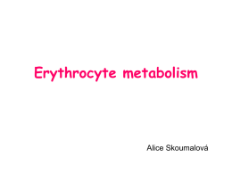 Metabolismus erytrocytů - Univerzita Karlova v Praze
