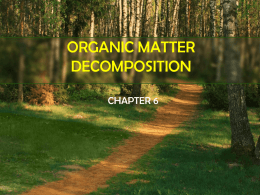 ORGANIC MATTER DECOMPOSITION