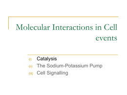 Molecular Interactions in Cell events